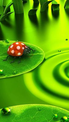 Grüne Natur mit Marienkäfer