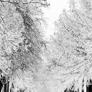 Winterlandschaft