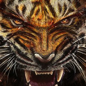 Fierces Tigergebrüll