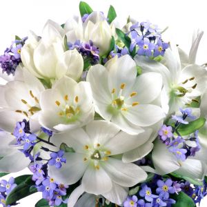 Schöne Weiße und Lila Blumen
