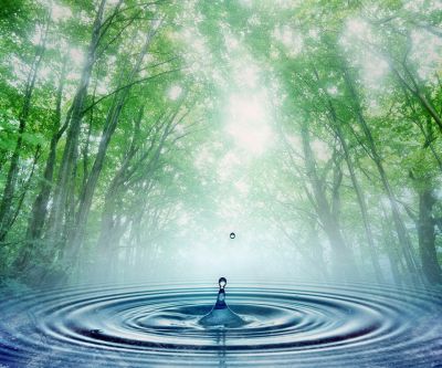 Ruhiger Wassertropfen im Wald