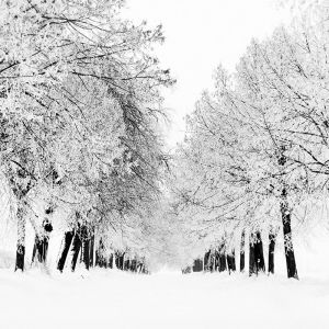 Winterlandschaft