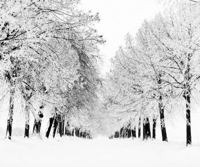 Winterlandschaft