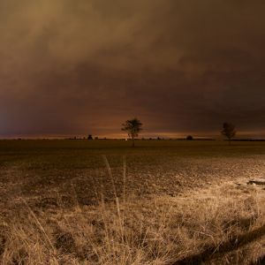 Ruhige Nachtlandschaft