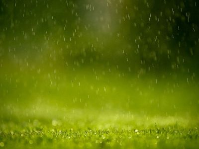 Regen auf Grüne Gras