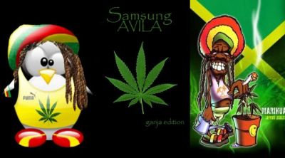 Rasta-Pinguin und Ganja-Kunst