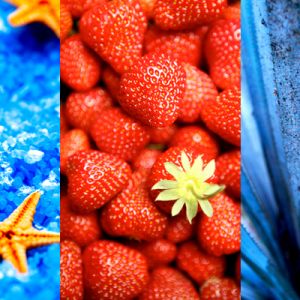 Seesterne und Erdbeeren