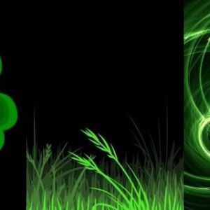 Grüne Kleeblatt-Muster