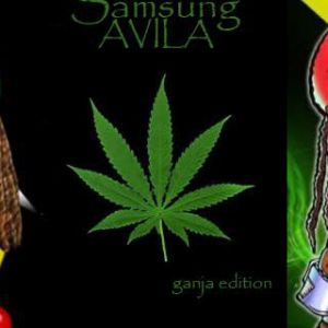 Rasta-Pinguin und Ganja-Kunst