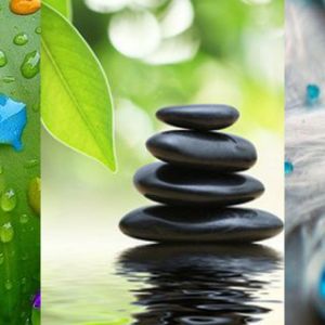 Ruhige Naturelemente