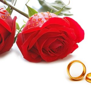 Rosen und Eheringe