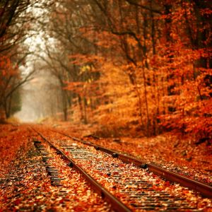 Herbstliche Bahngleise