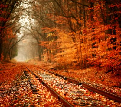 Herbstliche Bahngleise