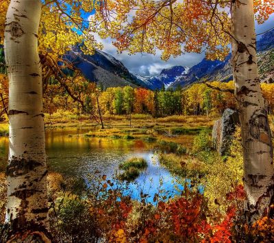 Herbstlandschaft mit Bergen