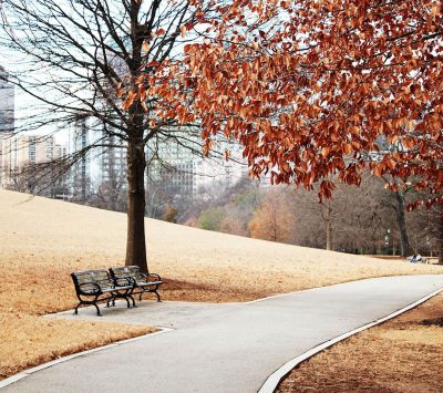 Herbstweg im Park