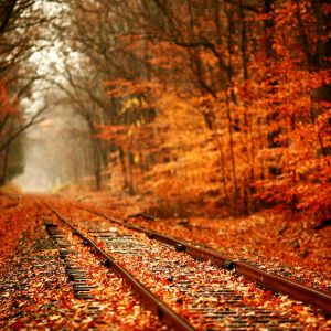Herbstliche Gleise