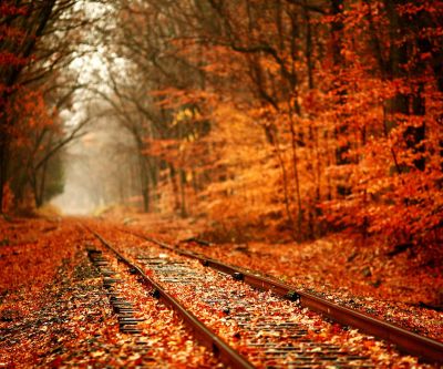 Herbstliche Gleise