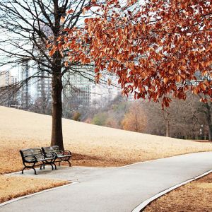 Herbstweg im Park