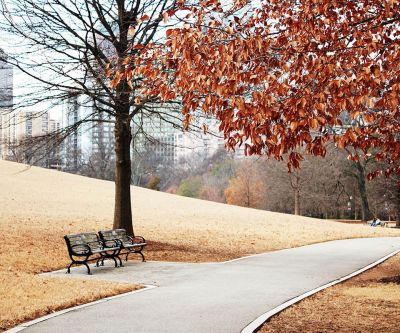 Herbstweg im Park