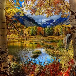 Herbstlandschaft