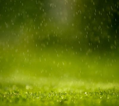Regen auf Grüne Wiese