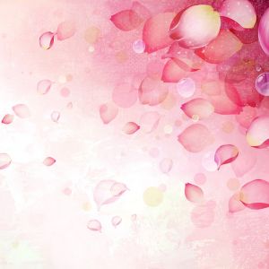Rosa Blütenblätter Abstrakter Hintergrund