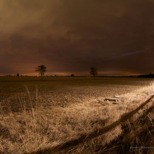 Ruhige Nachtlandschaft