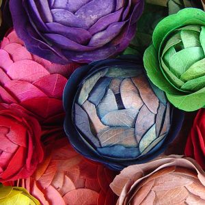 Bunte Blütenblätter