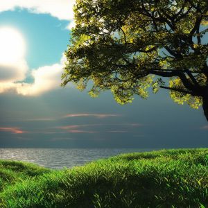 Ruhige Naturlandschaft