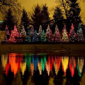 Bunte Weihnachtsbaumreflexion