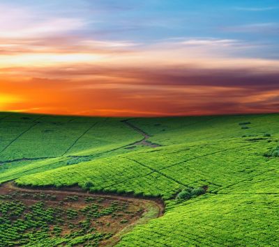 Lebendiger Sonnenuntergang über grünen Hügeln