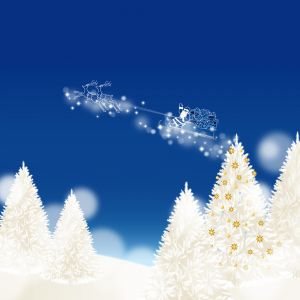 Magische Weihnachtsnacht