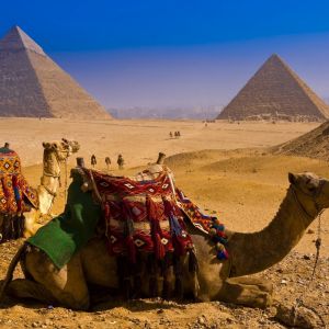 Pyramiden und Kamel in Ägypten