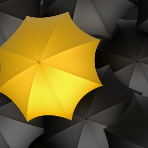 Gelber Regenschirm auf Schwarz