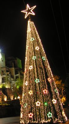 Beleuchteter Weihnachtsbaum