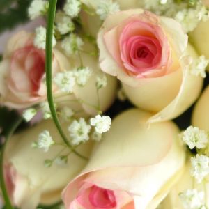 Schöner rosa Rosenstrauß