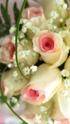 Schöner rosa Rosenstrauß