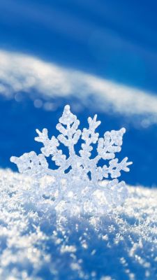 Schöner Schneekristall auf Schnee