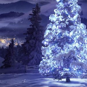 Schneebedeckter Weihnachtsbaum