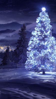 Schneebedeckter Weihnachtsbaum