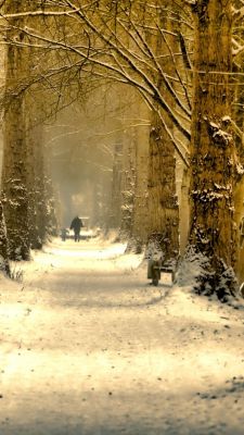 Winterweg