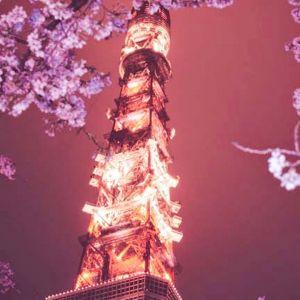 Tokio Tower bei Nacht