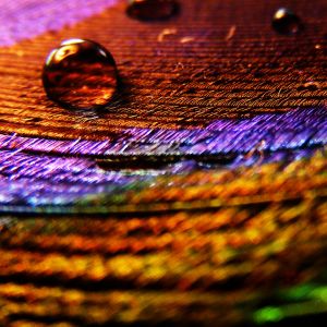 Bunte Abstrakte Muster