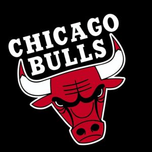Chicago Bulls Logo