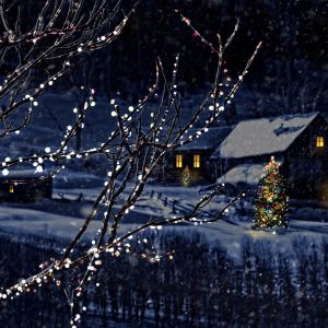 Winterwunderland Weihnachts Szene