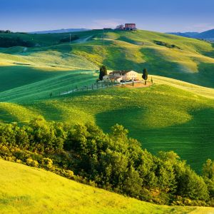 Ruhige Grüne Hügel Landschaft