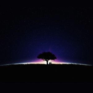 Silhouette Unter Dem Sternenhimmel