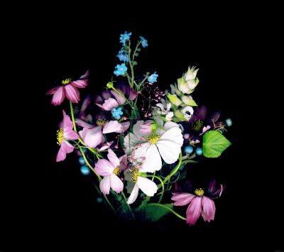 Lebendige Blumenanordnung