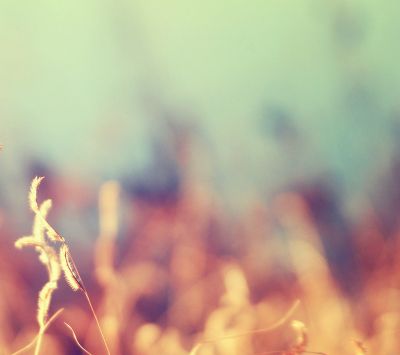 Weicher Fokus Natur Hintergrund