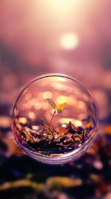 Natur in einer Blase